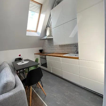 Extra Zone Apartment Poznan